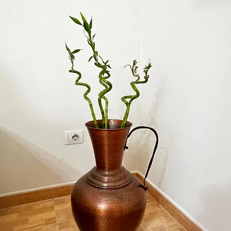 Rebeka's Apartment-myslym Shyri  *